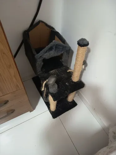 Arranhador grande (2 andares + casinha)