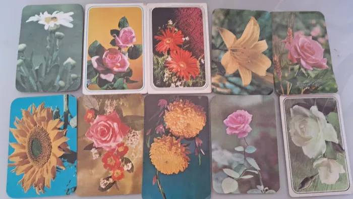 Coleção 10 Calendários de Bolso de Flores anos 70