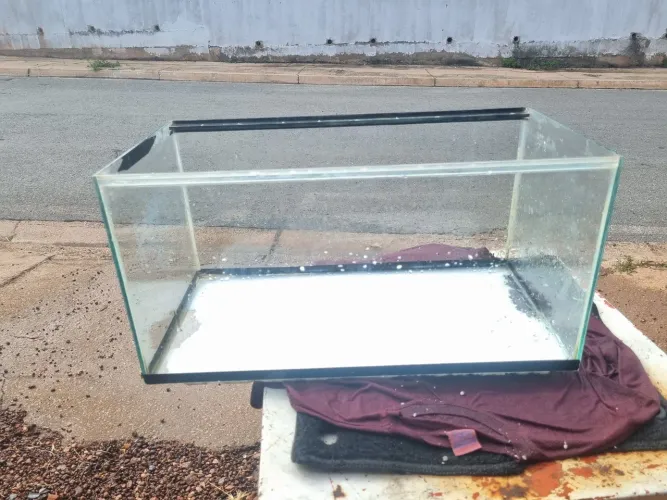 Aquário para peixe 49 ltrs