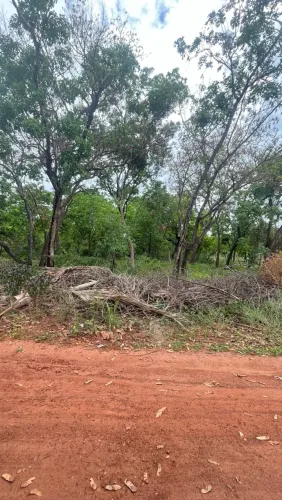 Terreno