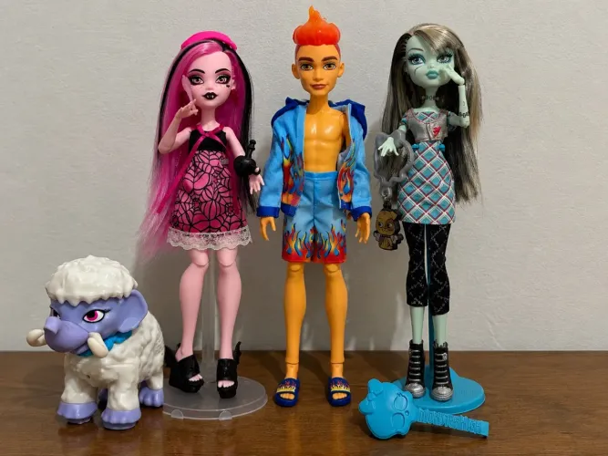 Lote Monster High