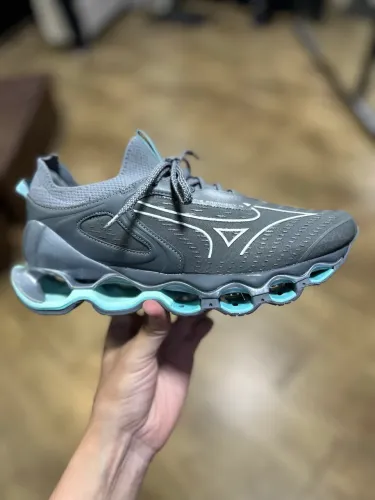 Mizuno prophecy 15