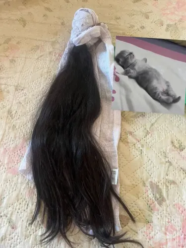 cabelo humano 