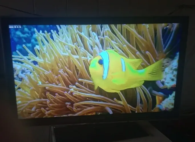 Tv 40 Samsung led conversor embutido e chromecast transforma em smart imagem Full