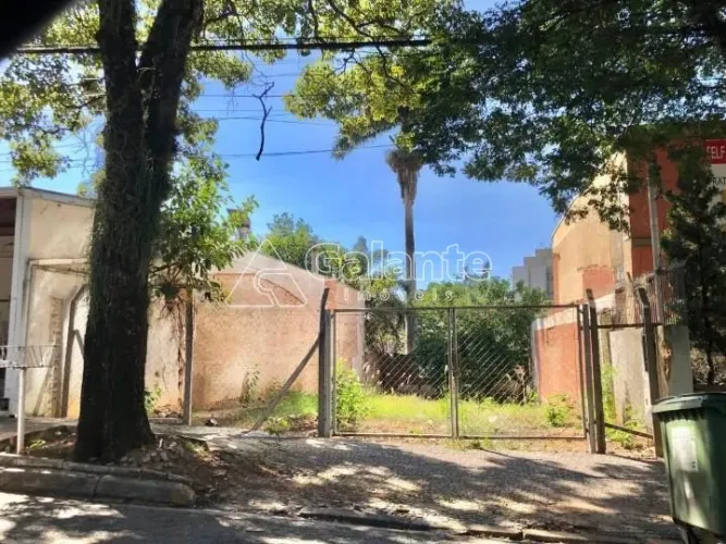 terreno - Cambuí - Campinas