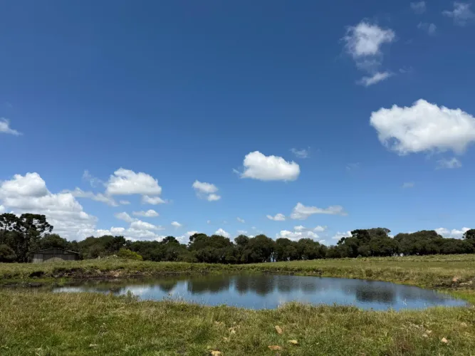 Terreno com ótimo acesso, energia elétrica instalada e desconto de 15% à vista
