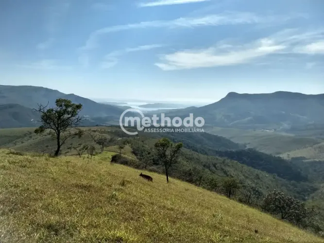 Fazenda com 3 dormitórios à venda, 1155200 m² por R$ 5.500.000,00 - Fazenda Cachoeira - Il
