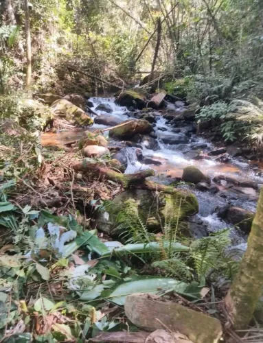 LINDA ÁREA EM PEIXE VERDE VIANA