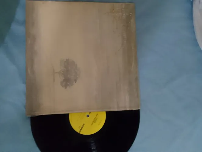 Vinil genesis