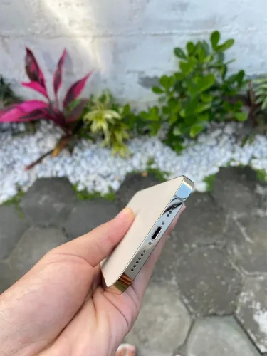 iPhone 12 Pro Max 256 gb