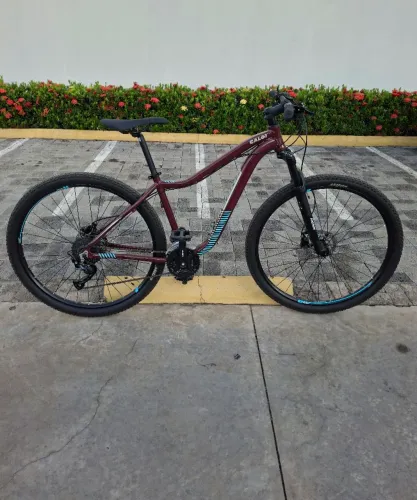 Bicicleta Caloi Aro 29