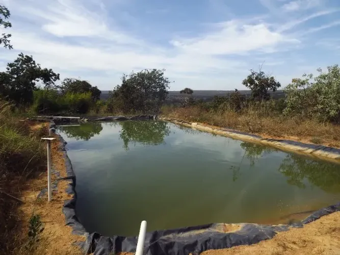 FAZENDA COMPLETA EM CURVELO/MG - CASA SEDE, RIBEIRÃO, VIVEIROS E 8.000 CACTOS EM PRODUÇÃO