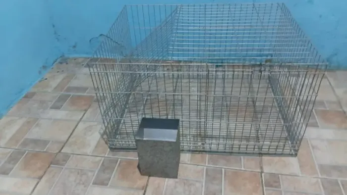 Gaiola criadeira de arame galvanizado