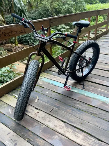 Bicicleta