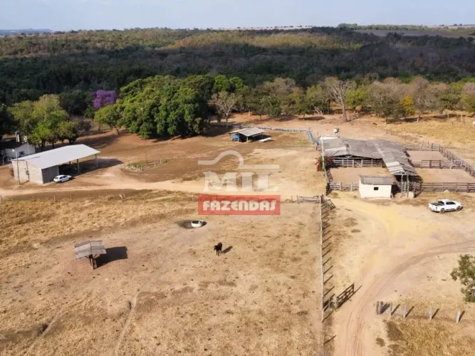Fazenda 150 Alqueires (726 Hectares) Aragarças - GO