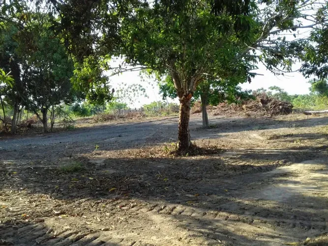 Fazenda 4.286 Hectares Paragominas PA Permuta Fazenda Parana e MTS