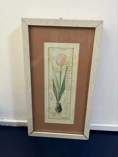 Quadro tulipa com moldura e paspatur 