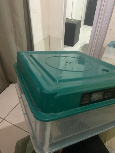 Chocadeira elétrica para 50 ovos 