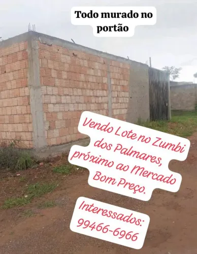 Lote no zumbi dos palmares