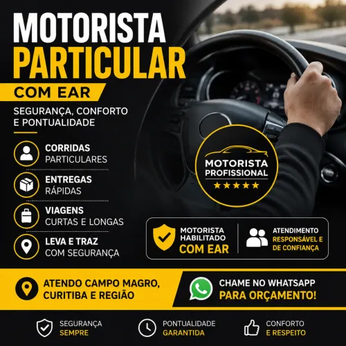 Motorista particular  free lance disponível e disposto 