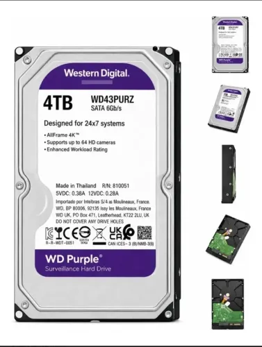 Hd 4Tb Purple