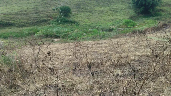Vendo terreno em área rural próximo a cidade de Santos Dumont 