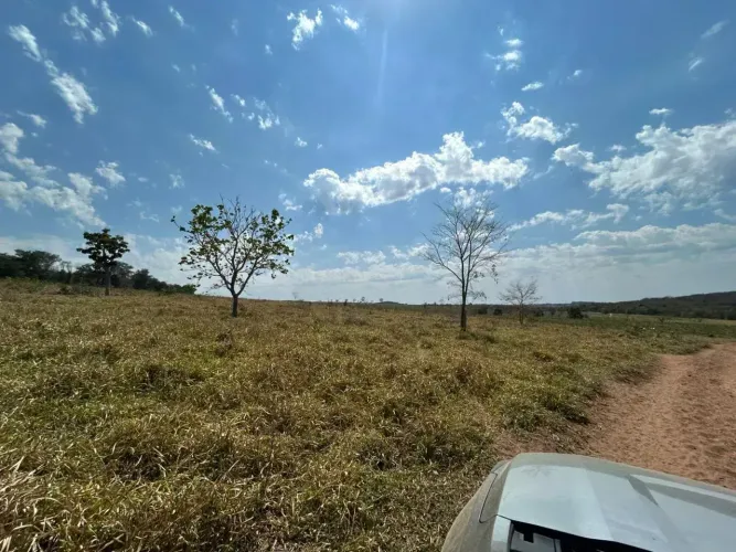 FAZENDA COM 600 HECTARES A VENDA EM CAMAPUA/MS