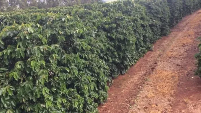Fazenda em araxa 1.100 hectares 40.000.000.00