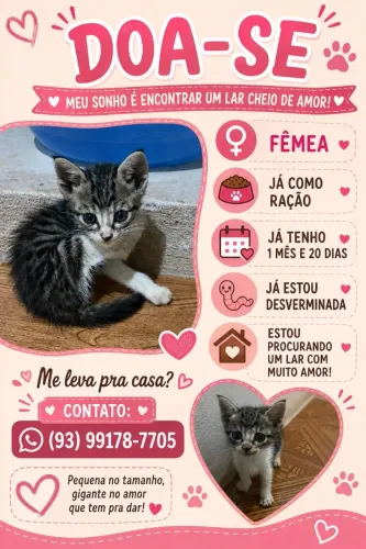 Filhotinha em busca de um lar !! Adoção responsável 