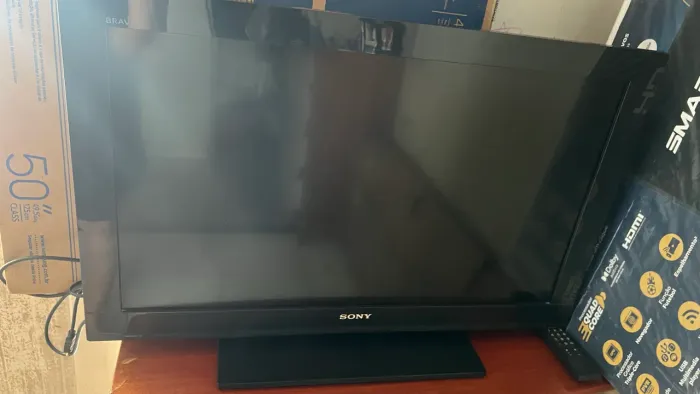 Televisão