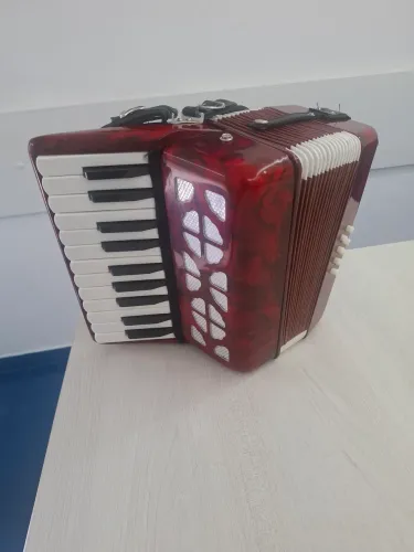 Vendo sanfona para criança