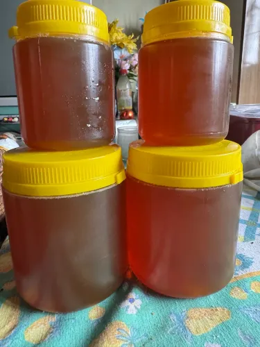 Mel puro direto do apicultor colhido no ano 2026 