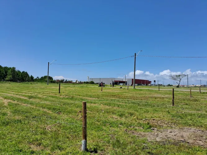 VENDO TERRENO, dentro do loteamento presidente