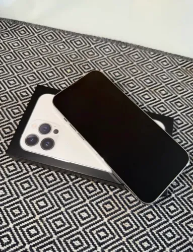 iPhone 13 pro max