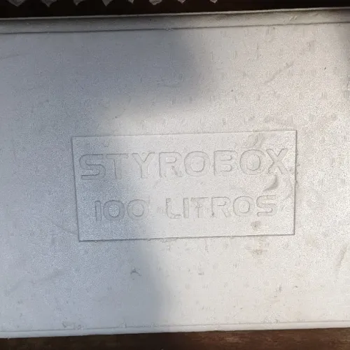 Caixa térmica de isopor 100 litros
