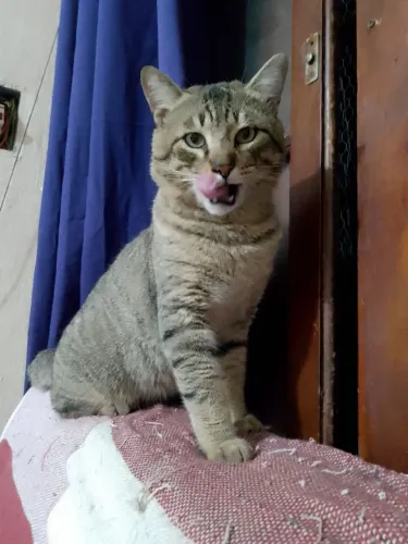 Doação
