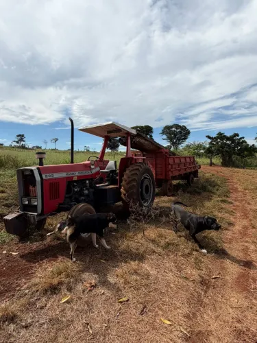 Trator massey fergusson 292