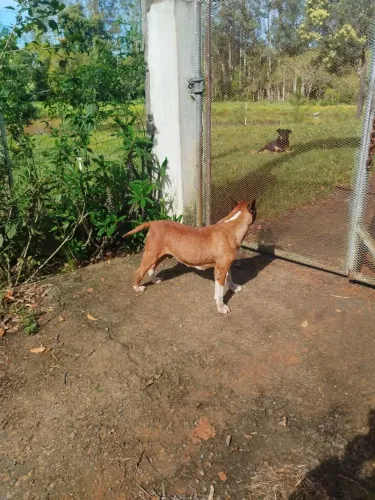 Doação