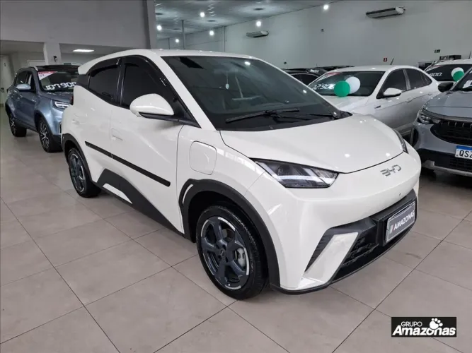 BYD Dolphin Mini (Elétrico) 2025