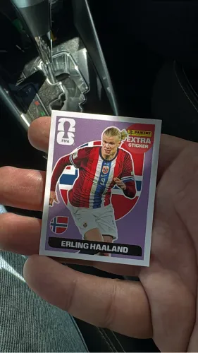 Haaland roxo legend