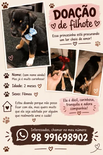 Doação de pet