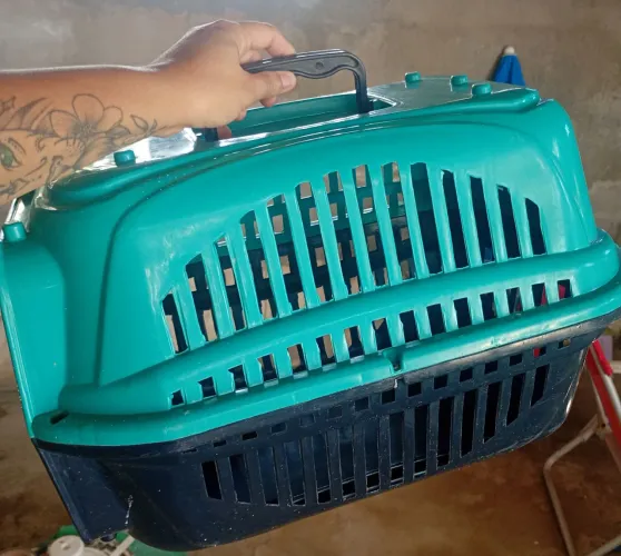 Casinha de viagens para animais