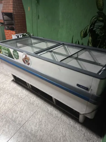 Geladeira  Expositora 2999,00