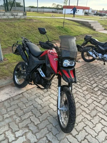 Shi 175