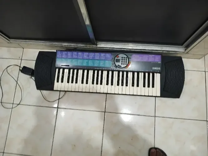 Orgao 77 Novo