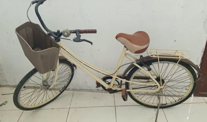 Bicicleta retrô