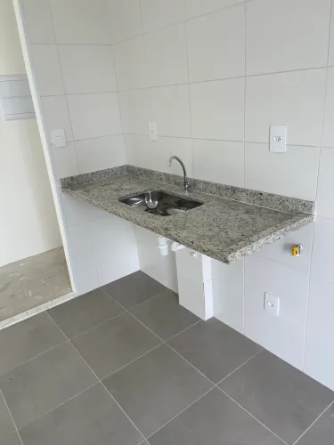 Vendo Pia de cozinha e tanque de lavar Rouba