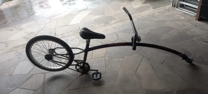 Bicicleta reboque infantil