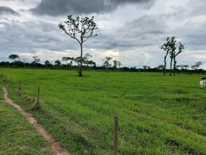 fazenda área 915 alqueires município de Abreulândia Tocantins