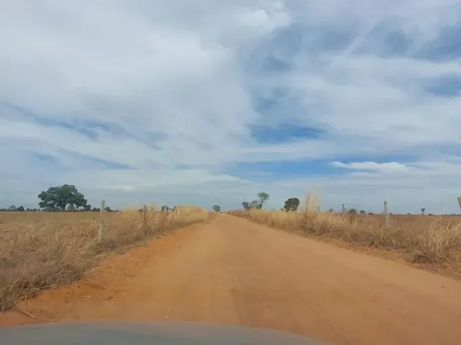  Fazenda de 153 alqueires em Mozarlândia